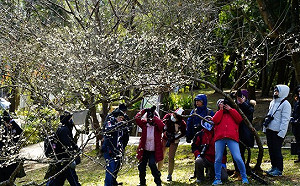 指揮中心籲發燒待在家!觀光局放寬跟團退費規定