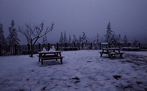 大陸冷氣團週四報到！氣象局：週五清晨有機會降雪