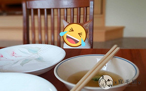 眼見桌上只剩空盤　橘貓一臉不悅：都不用留給我？