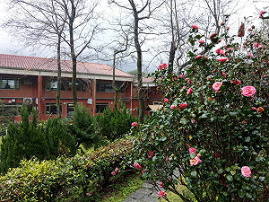 走春喝茶去！貓空現泡好茶搭配山林秘境 暖胃又暖心