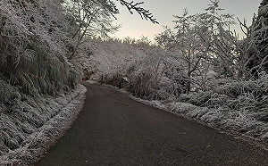 冷氣團今晚最強！氣溫急降探8度 宜花山區有望出現霧淞美景