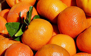 過年買橘子該怎挑?知情人揭3訣竅