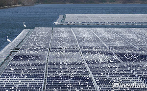 良影一二》滯洪池光電板滿佈鳥屎蔚為奇觀  凸顯發展綠能與維護鳥類生態的衝突