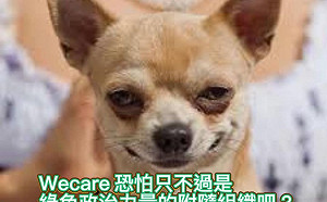 Wecare力挺反罷捷 孫大千批:只是綠色政治力量附隨組織