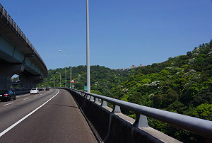 「高速公路1968」推新功能!  一秒掌握國道服務區車位