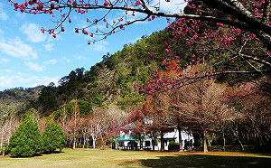 防堵疫情!林務局:各大森林遊樂區將進行人流管制