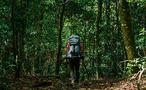 女子登山失蹤只見登山杖  掉落處下方尋獲遺體