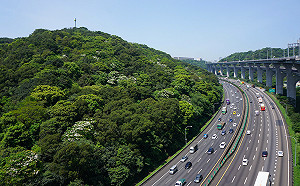 高雄女童深夜急轉台大！柯志恩喬警車開道被拒 國道警：醫院未開證明