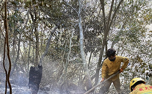 中橫便道山林火警  出動黑鷹直升機空中投水