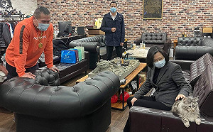 館長愛貓「Rich」讓總統級貓奴蔡英文也沒轍 網戲稱:沒禮貓