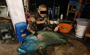 蘭嶼龍王鯛遭獵捕海巡找無魚體  2漁民稱誤捕恐遭法辦