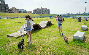 新北17座寵物公園營造友善空間 年節陪毛寶貝走春趣