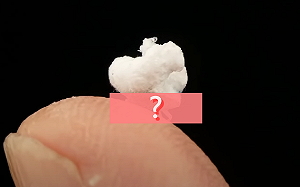 (影)攝影師意外發現特別小生物 網驚:爆米花居然長腳跑掉?