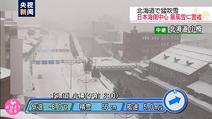 暴風雪襲北海道 積雪超過55釐米 超過百棟建築受損