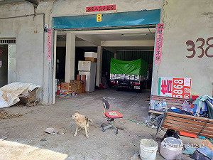 81歲拾荒老翁犬隻咬死貓 新北動保處酌情開罰1萬元
