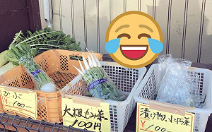 菜攤出現「毛老闆」銷售 牠一臉不爽:還不快來買?