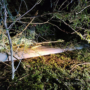 騰雲無人機墜毀台東 中科院證實：控制系統異常迫降無傷亡