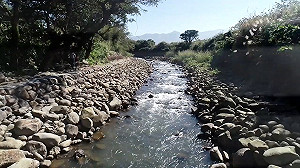 新北整治淡水大屯溪   師法自然新建護岸維繫生態