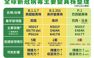 武漢肺炎》一圖搞懂變異病毒  羅一鈞:巴西變異病毒恐造成疫苗保護力下降