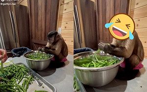 家政猴皺臉努力幫媽「掰豆筴」網笑：表情超到位！