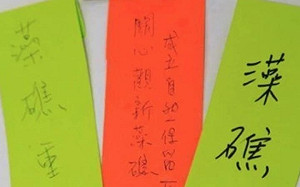 綠營驚傳被藻礁連署嚇到  民眾黨陳思宇：環團沒變是民進黨變了！