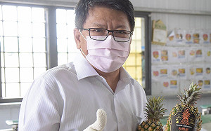 中國禁台灣鳳梨 最大產地縣長：用新台幣挺農