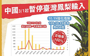吳瑟致觀點》從鳳梨變成菠蘿 中國再使養套殺伎倆