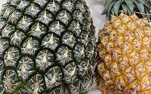 停止台灣鳳梨進口  翁章梁：加深台灣人對中國的失望