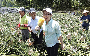 中國政治操作禁台農產  「自由鳳梨」國際友軍紛現身