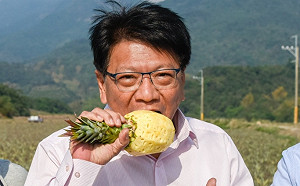 屏東鳳梨外銷日本  潘孟安：銷量可望成長