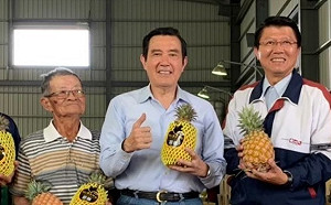 中國禁台灣鳳梨 馬英九又籲政府誠懇與中國溝通協商
