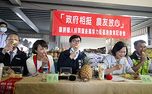 蔡英文、陳其邁關心高雄鳳梨 中央地方聯手穩定價格拓展國外市場