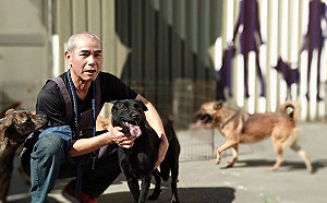 退休波麗士彭昭左化身浪浪守護天使   動物之家當志工達3千天