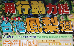 助鳳梨農一臂力之力  國民黨高市黨部推「鳳梨週」活動
