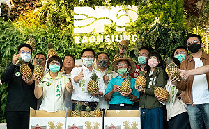 挺台灣農民!民進黨高雄市黨部相挺採購一萬台斤鳳梨