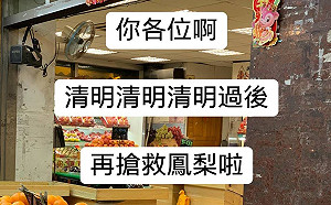 「搶救鳳梨」再等等！ 鳳梨王子：清明過後才是產季