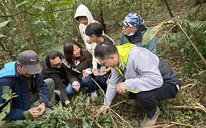 虎山步道野放螢火蟲!保護棲地4月調整開燈時間