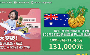 台灣鳳梨外銷國際大內宣? 藍委:出口澳洲才13萬元