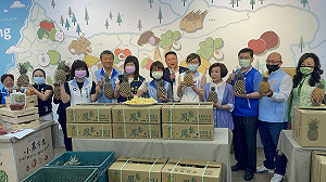 國民黨高雄市黨部幫忙賣鳳梨  線上線下訂單超過一萬台斤