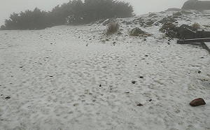 玉山飄雪1小時!中央氣象局:還有降雪機會