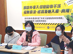 跑票被停權無法進衛環委員會 林淑芬:剝奪專業、打入冷宮