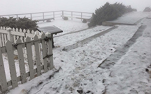 山友注意!  玉山降雪登山3大注意事項一次看