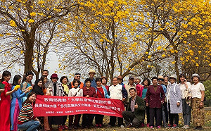 黃花大爆發 民雄老大人邀新住民賞花成網紅