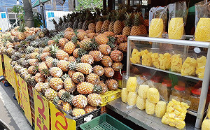 台灣鳳梨外銷再下一城！農委會：5月首批出口澳洲逾6噸