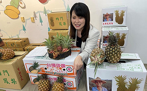 陳美雅最後一刻代打上陣  將搭配陸淑美角逐高市副議長