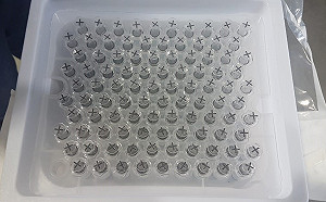 南非破獲2400劑假疫苗 倉庫起出假口罩逮3中國人