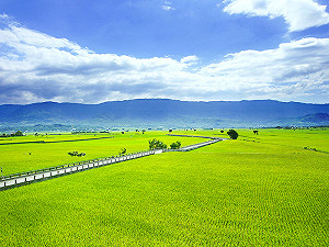 清明連假限定！星宇「微旅行2.0」直飛台東暢玩東海岸