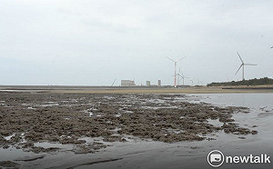 藻礁公投》全球唯一極淺灘生長 大潭藻礁是精華中的精華