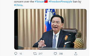 吳釗燮在IPAC視訊演講並接受提問 台灣鳳梨和黑熊都現身