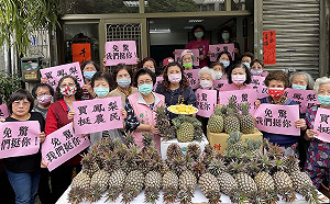 議員力挺鳳梨農 中市水噹噹端酸甜大餐關懷長輩